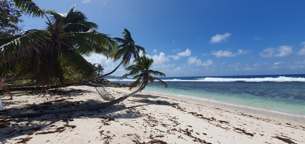 20250612_130319.jpg 20250612_130319.jpg