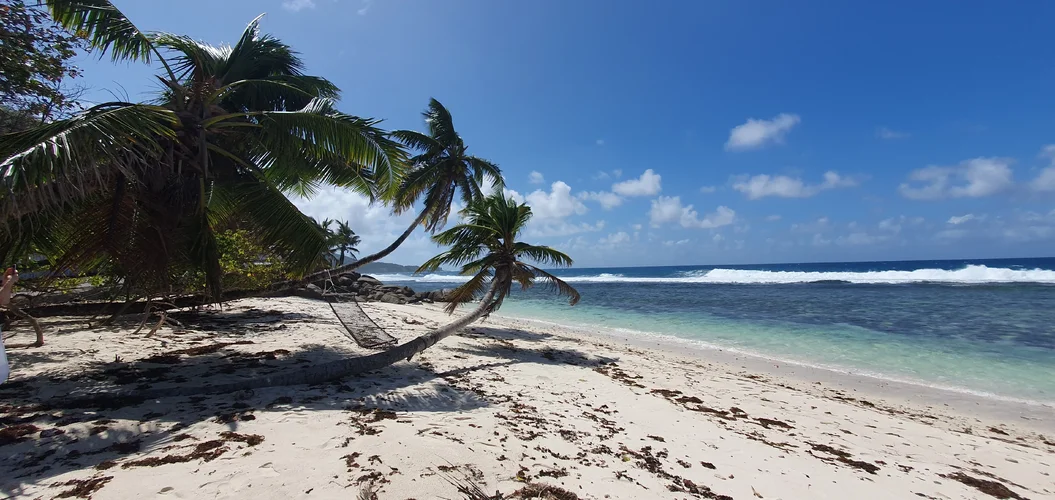 20250612_130319.webp 20250612_130319.webp