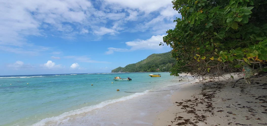 20250612_141642.webp 20250612_141642.webp