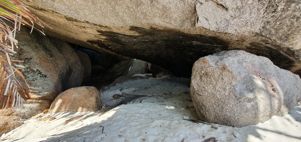 20250613_134117.webp 20250613_134117.webp