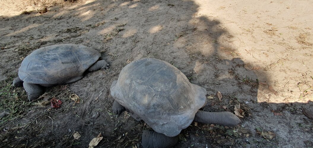 20250613_151313.jpg 20250613_151313.jpg