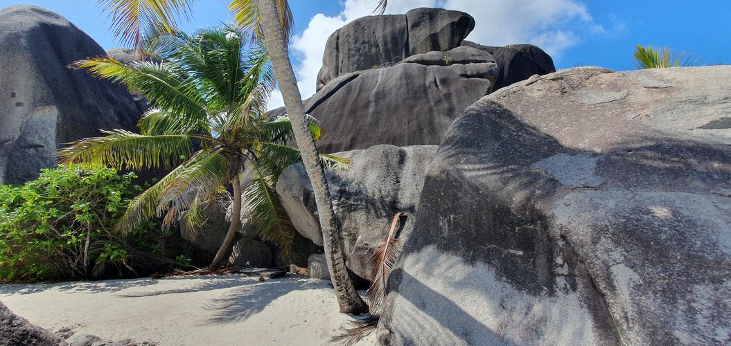 20250613_134135.jpg 20250613_134135.jpg