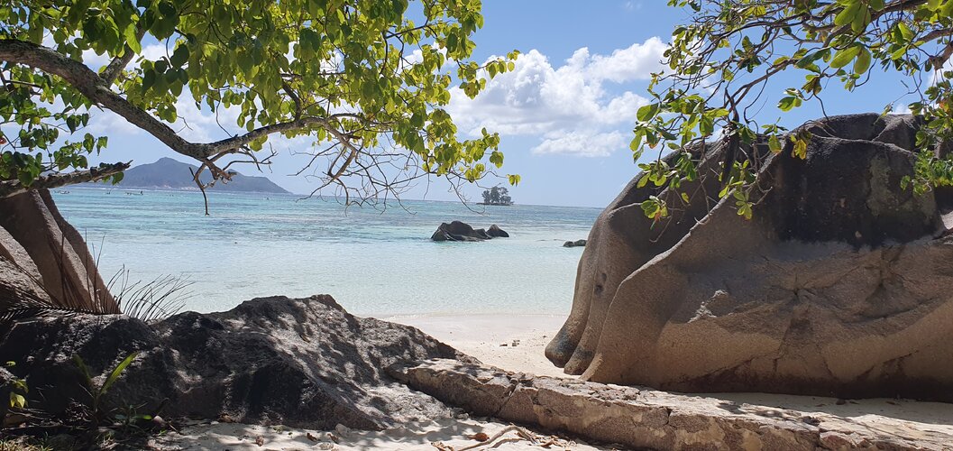 20250613_133259.jpg 20250613_133259.jpg