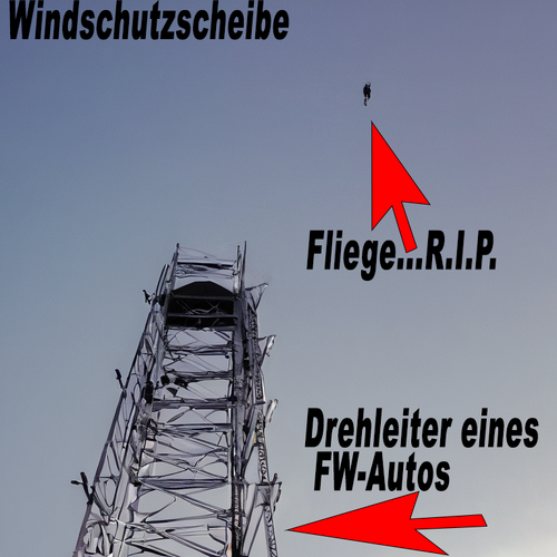 FlyOW.png