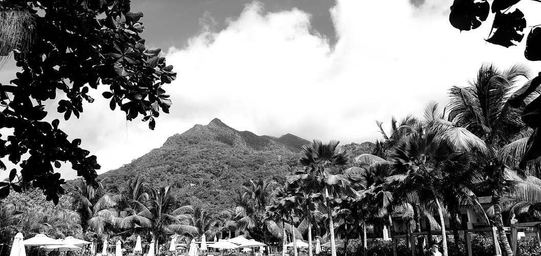 20250616_144154.jpg 20250616_144154.jpg