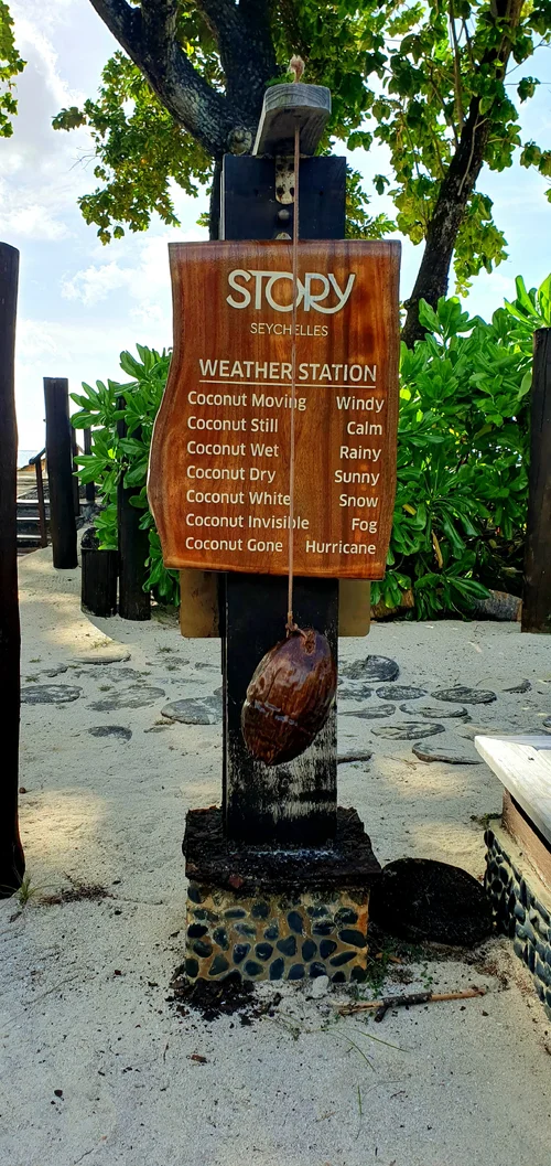 20250616_154225.webp 20250616_154225.webp