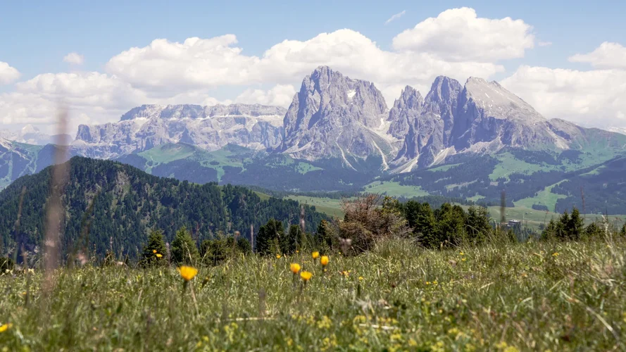 Letzter Blick oben auf der Seiser Alm.webp