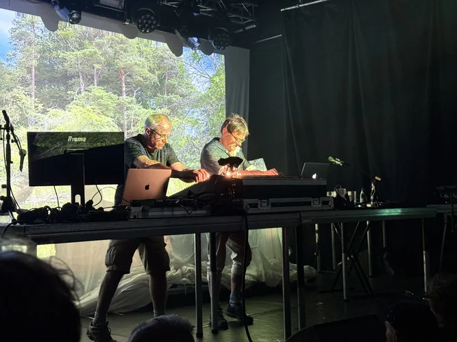 IMG_4422.jpeg IMG_4422.jpeg