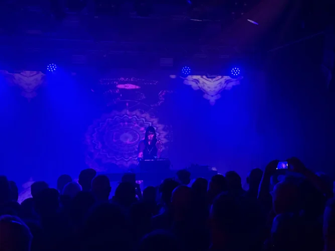 IMG_3631.jpeg IMG_3631.jpeg