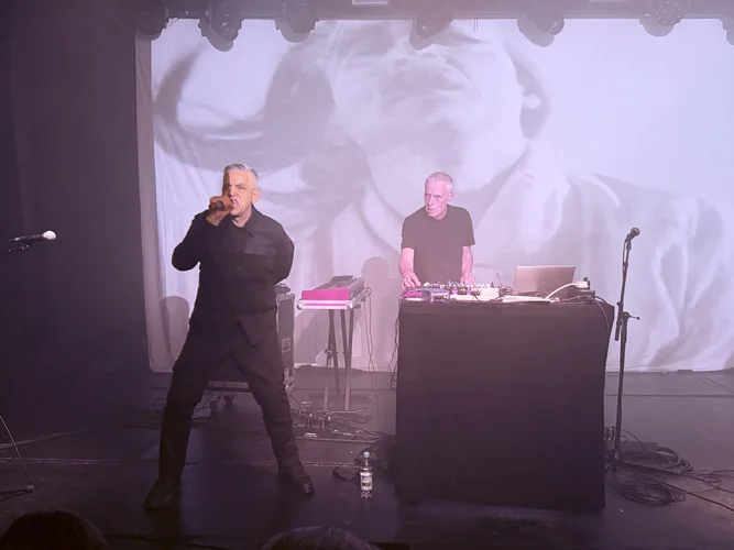 IMG_3450.jpeg IMG_3450.jpeg