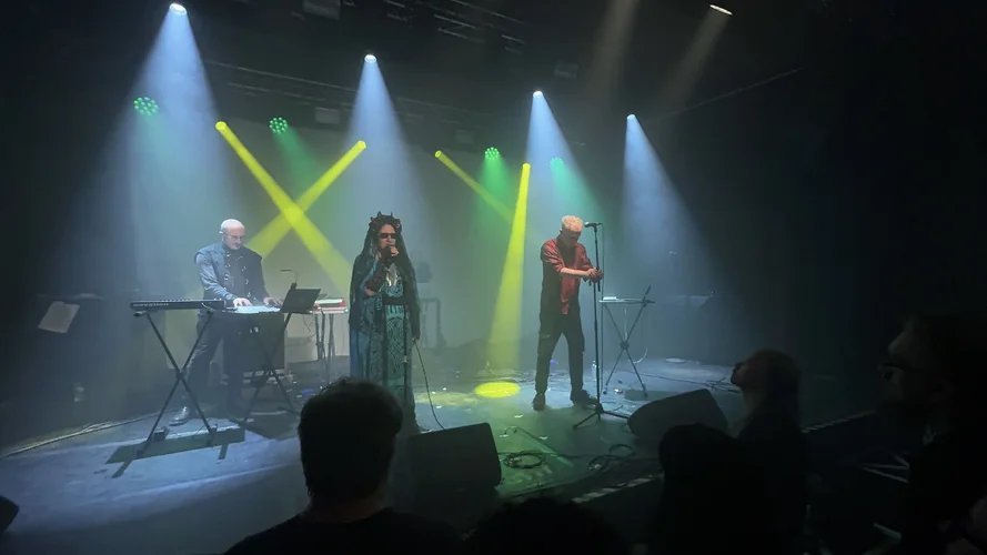 IMG_3391.JPG IMG_3391.JPG