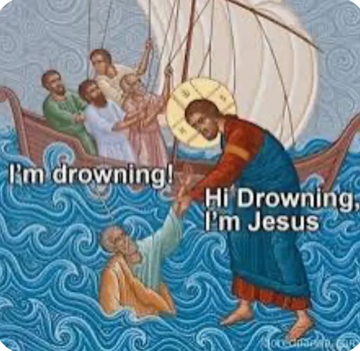 IMG_2461.webp IMG_2461.webp