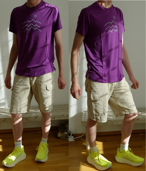 Chartreuse_Beige_Lila.jpg