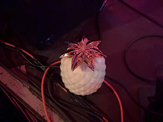 Unter Null 2025 6438.webp