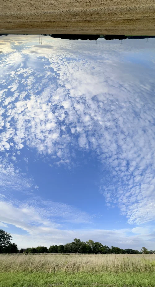 IMG_5708.webp IMG_5708.webp