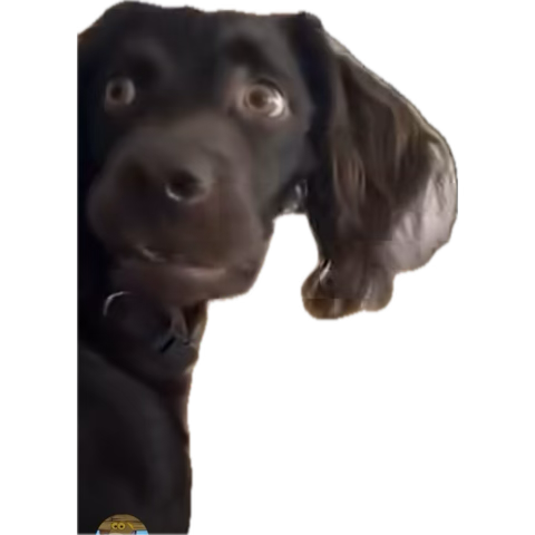 1756375761875.png 1756375761875.png