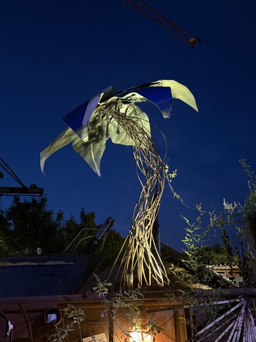 palme.jpeg