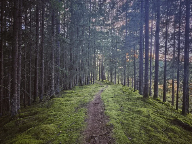 1756852243483.webp 1756852243483.webp