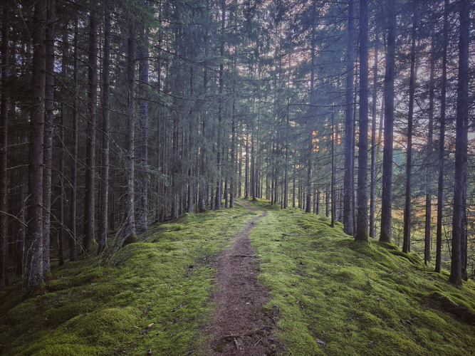 1756852243483.png 1756852243483.png