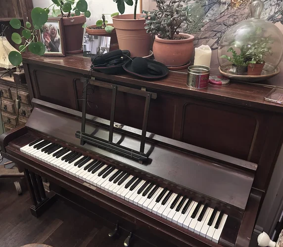 IMG_2472.webp IMG_2472.webp