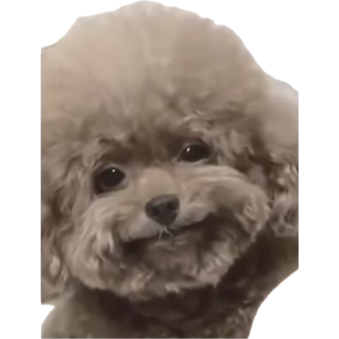 1757881874552.png