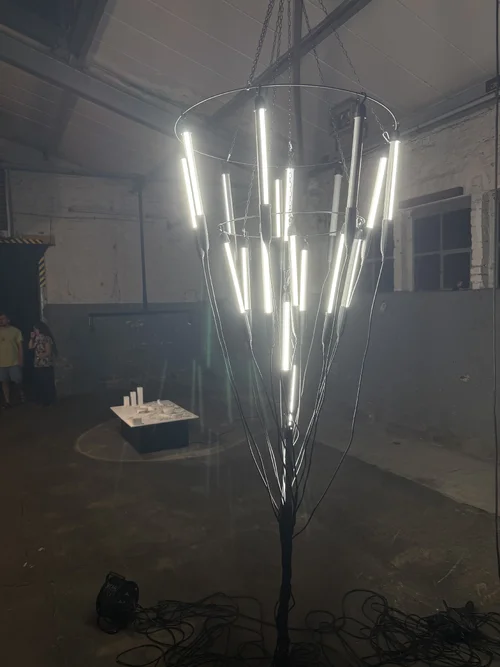 Re-Light CGN 25 1107.webp