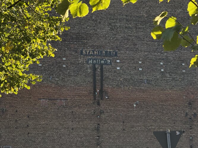 Re-Light CGN 25 0914.jpeg