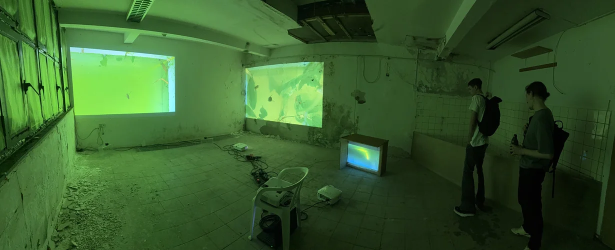 Re-Light CGN 25 1141.webp