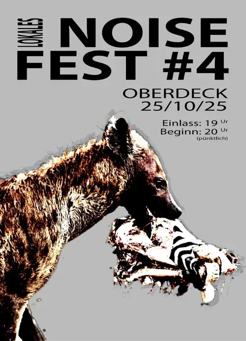 noise fest 2025.webp noise fest 2025.webp