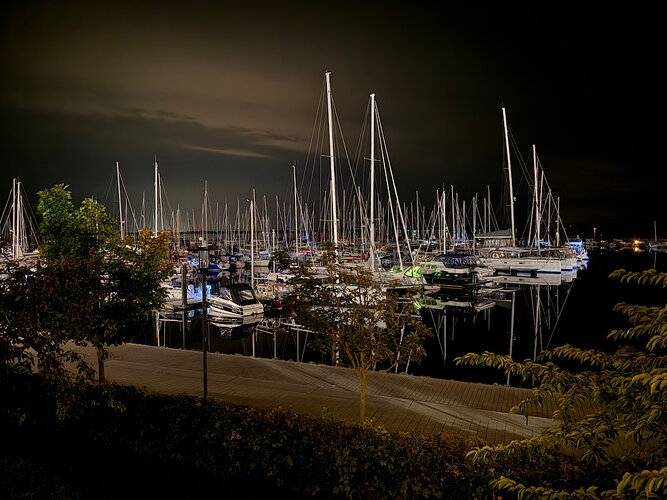 IMG_5170.jpeg IMG_5170.jpeg