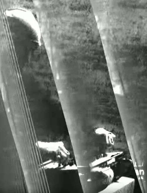 Screenshot 2025-09-26 171503.png