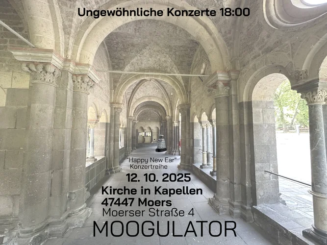 Moogulator in Moers Live.jpg