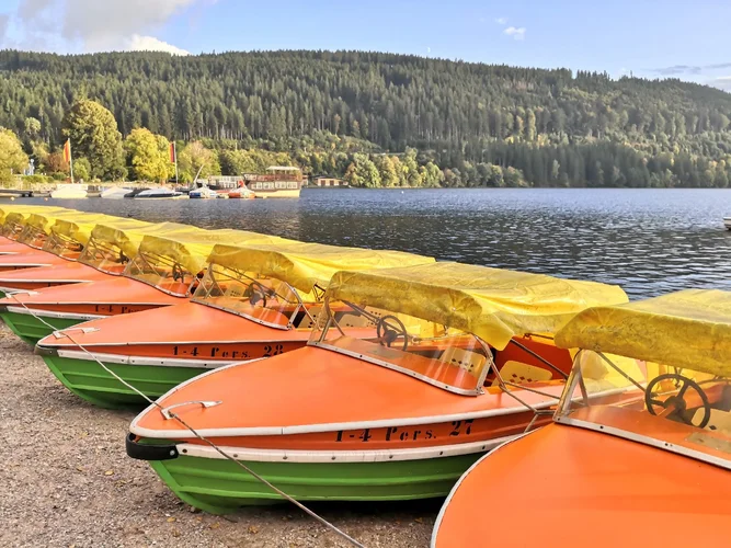 Boote am Titisee.webp Boote am Titisee.webp