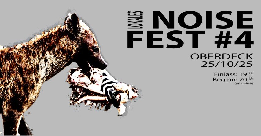 Noise_Fest_4_Facebook (Klein).jpg