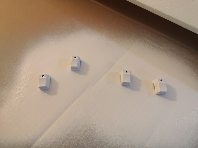 1000056521.jpg