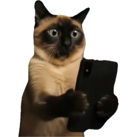 1760036454296.png