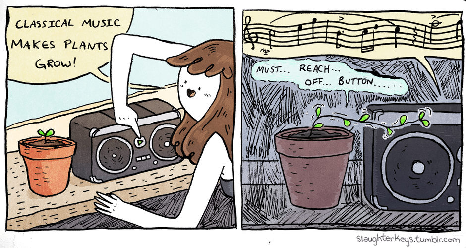 plants.png