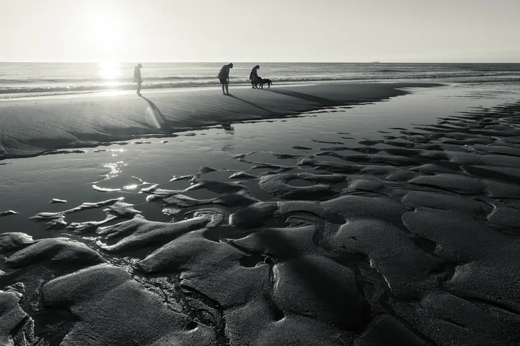 Flickr.webp Flickr.webp