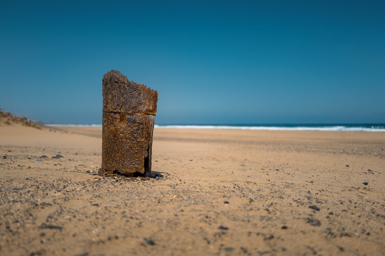 20250829_LEICA Q3_L1011602.jpeg 20250829_LEICA Q3_L1011602.jpeg