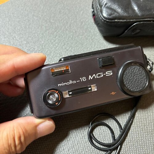 IMG_5877.jpeg IMG_5877.jpeg