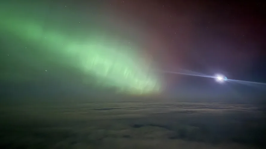 B5571B91-4354-47DF-9620-29C1F57ABB99_1_102_a.webp B5571B91-4354-47DF-9620-29C1F57ABB99_1_102_a.webp