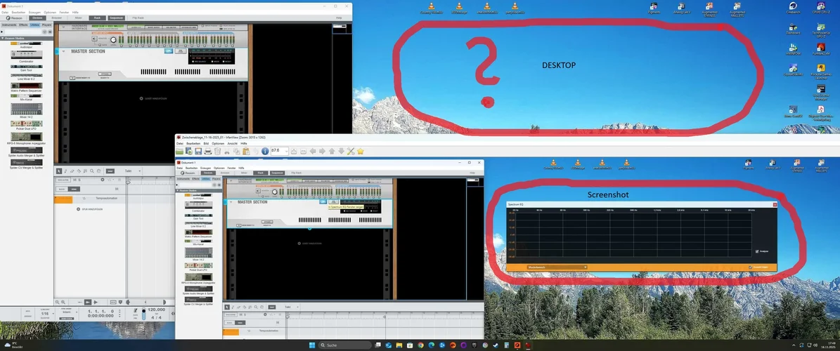 reason fenster 2.webp