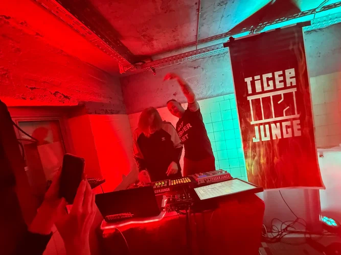 Tigerjunge 3956.webp