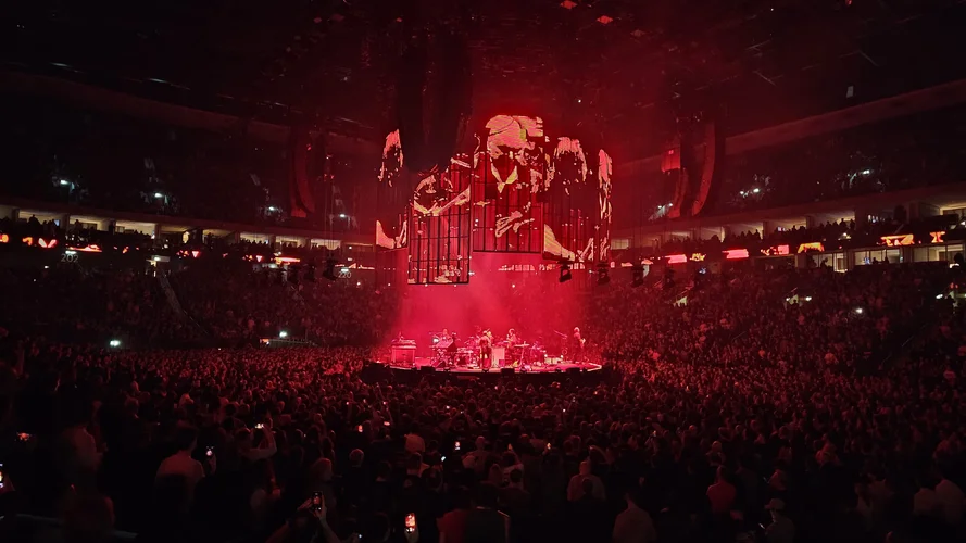 1000032373.webp 1000032373.webp