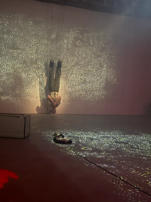 Cryptobiosis4329.webp Cryptobiosis4329.webp