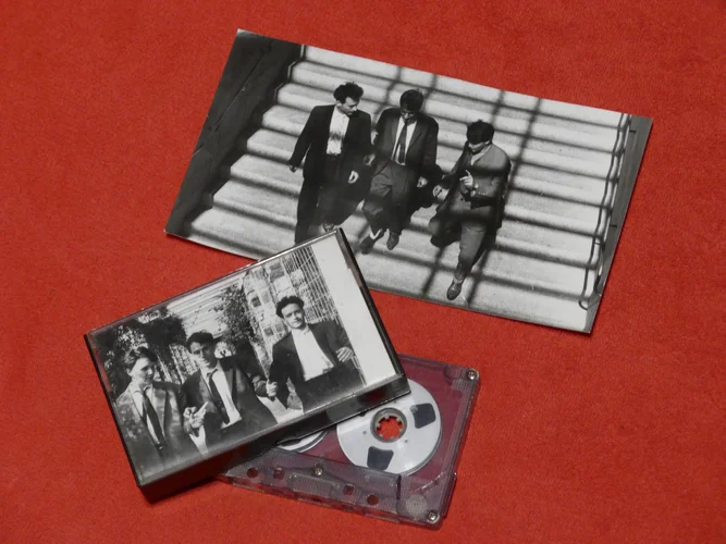 Cassette_Flower37.webp Cassette_Flower37.webp