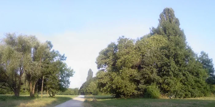 ffm_180715_19+20_700x350_cm.webp ffm_180715_19+20_700x350_cm.webp