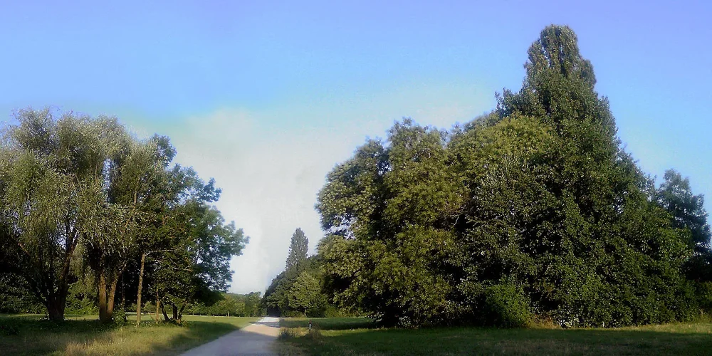 ffm_180715_19+20_1400x700-korrektur.webp ffm_180715_19+20_1400x700-korrektur.webp