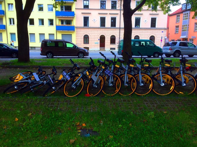 IMG_0519.webp IMG_0519.webp