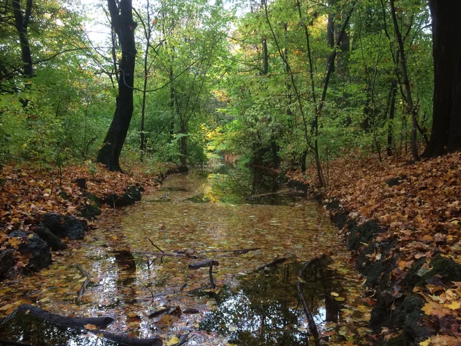 IMG_0536.webp IMG_0536.webp